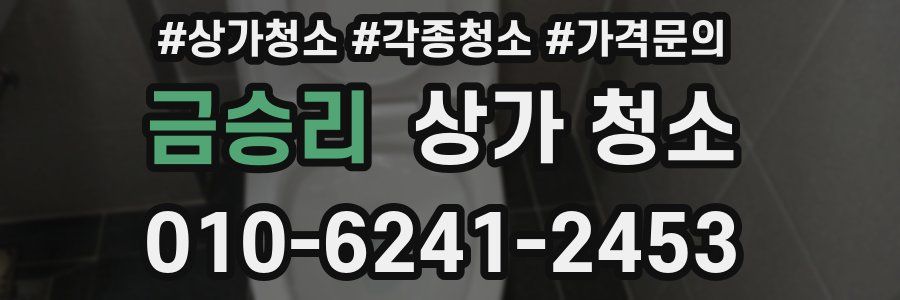 금승리 상가 청소