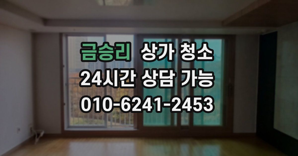 금승리 상가 청소