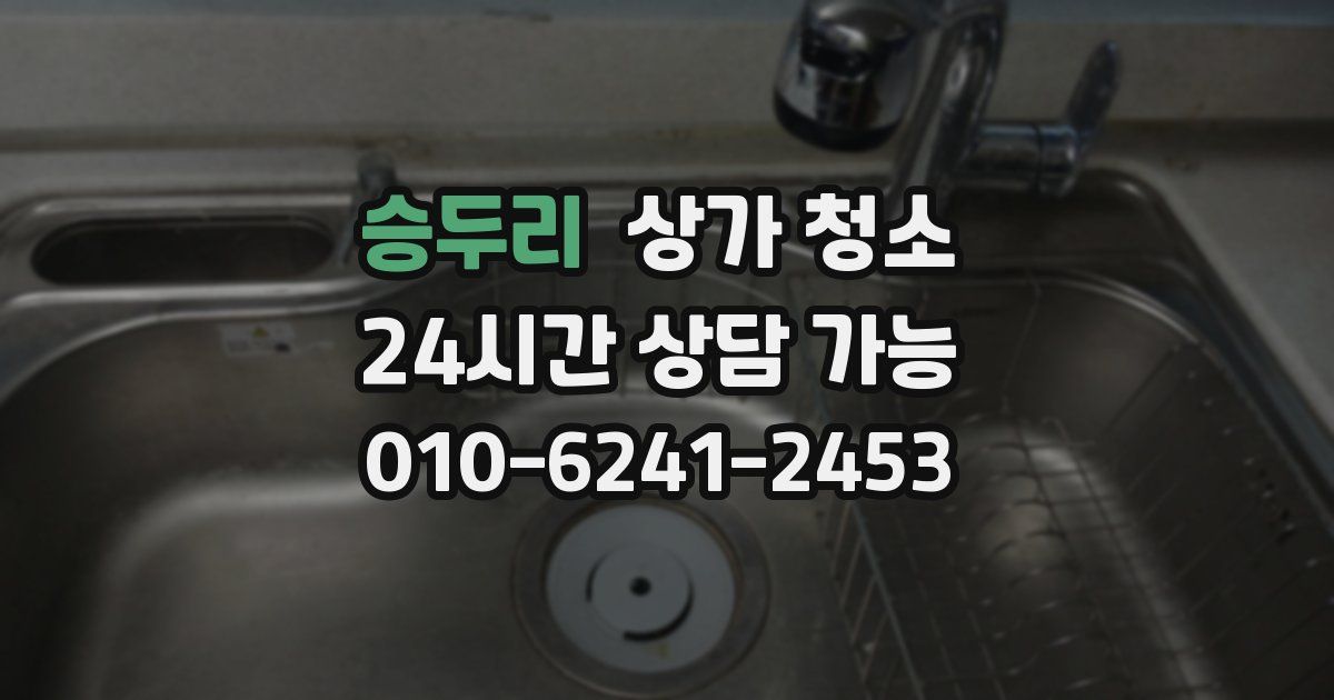 승두리 상가 청소