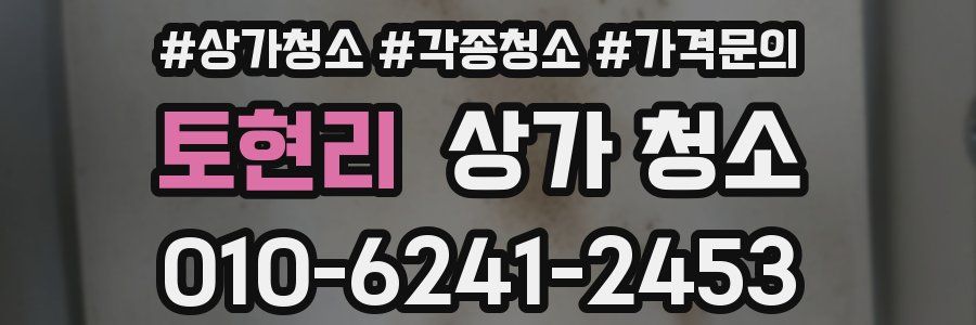 토현리 상가 청소