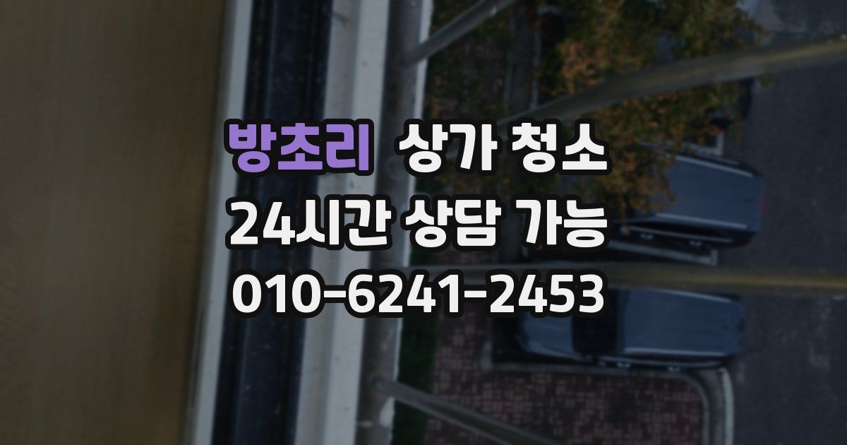 방초리 상가 청소