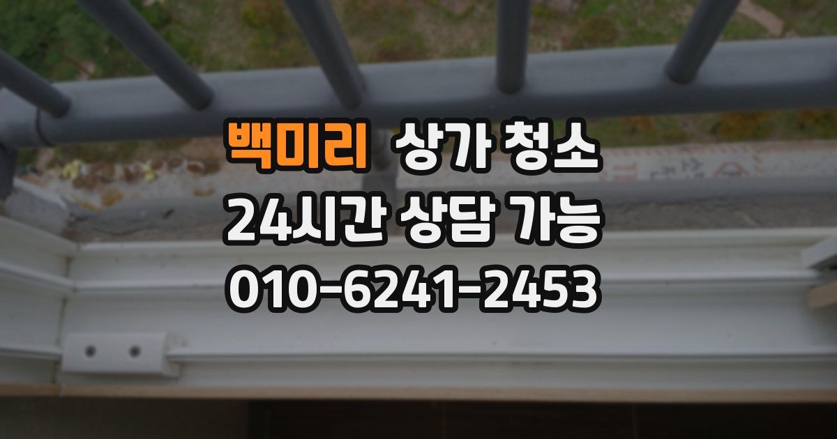 백미리 상가 청소