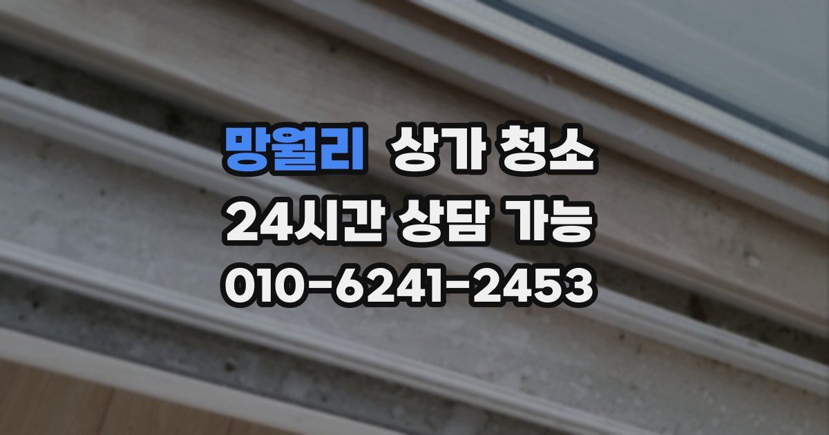 망월리 상가 청소