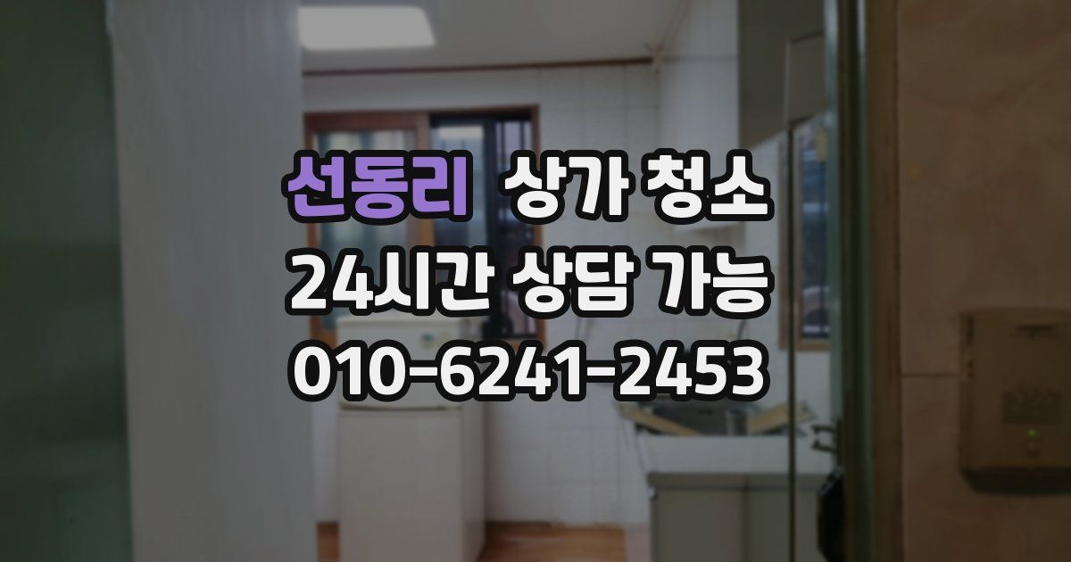 선동리 상가 청소