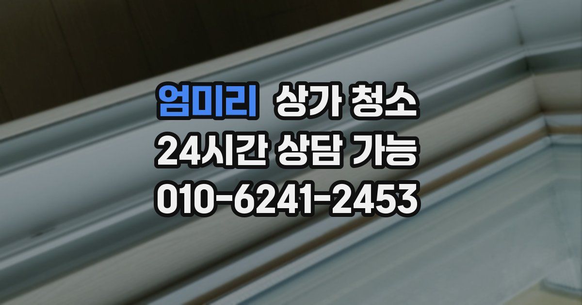 엄미리 상가 청소