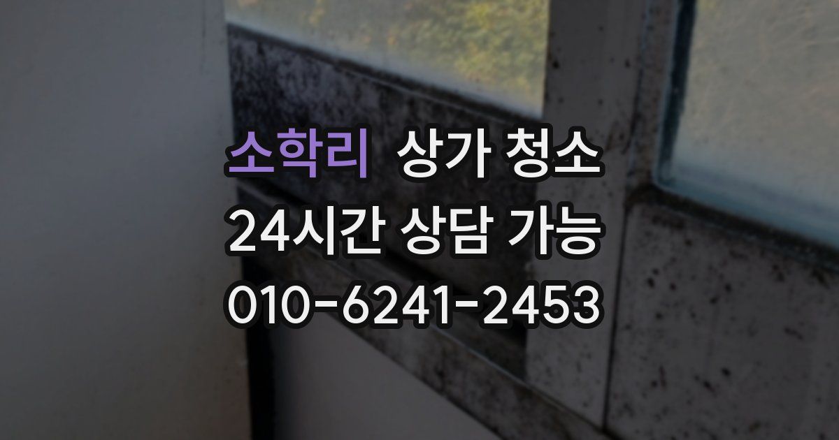 소학리 상가 청소