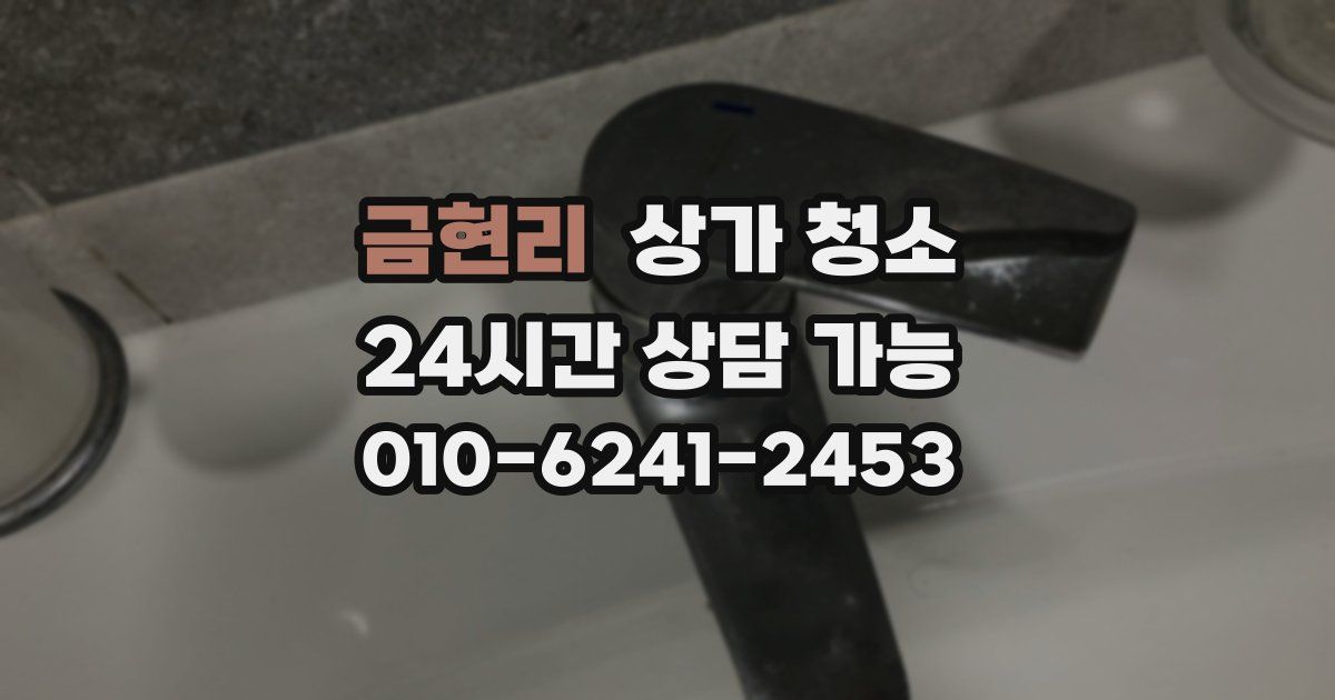 금현리 상가 청소