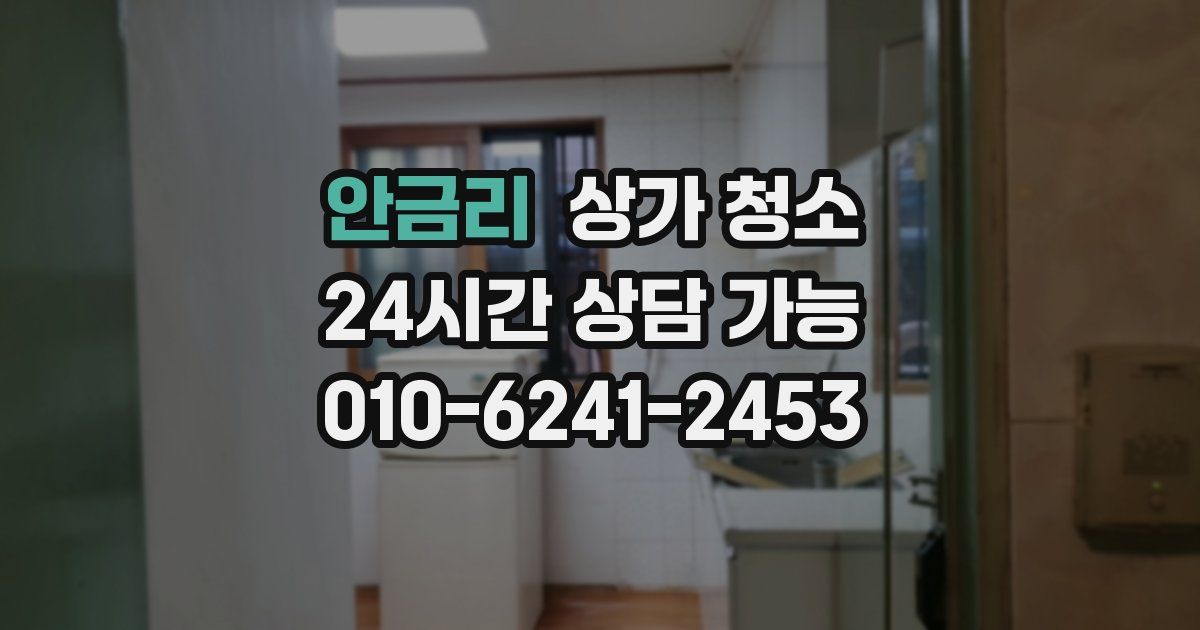 안금리 상가 청소