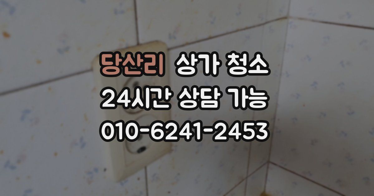 당산리 상가 청소