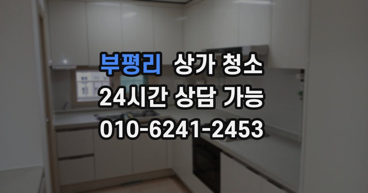 부평리 상가 청소