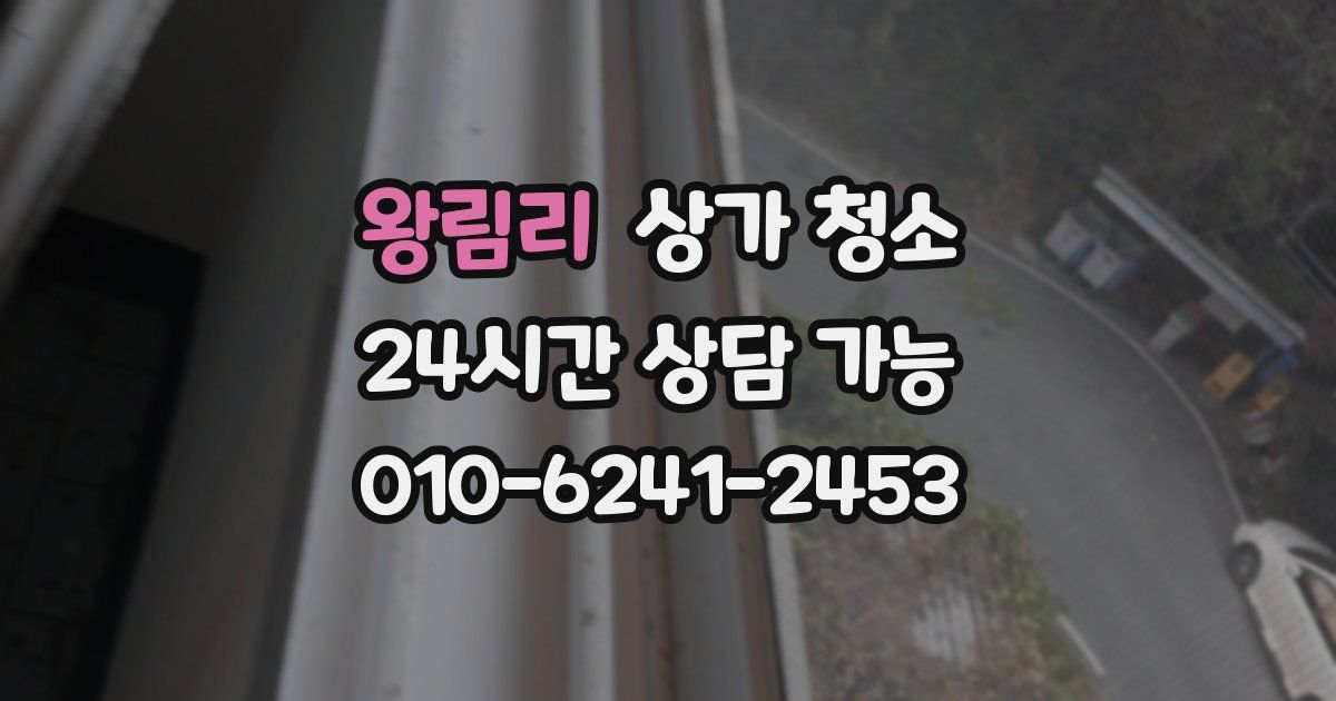 왕림리 상가 청소
