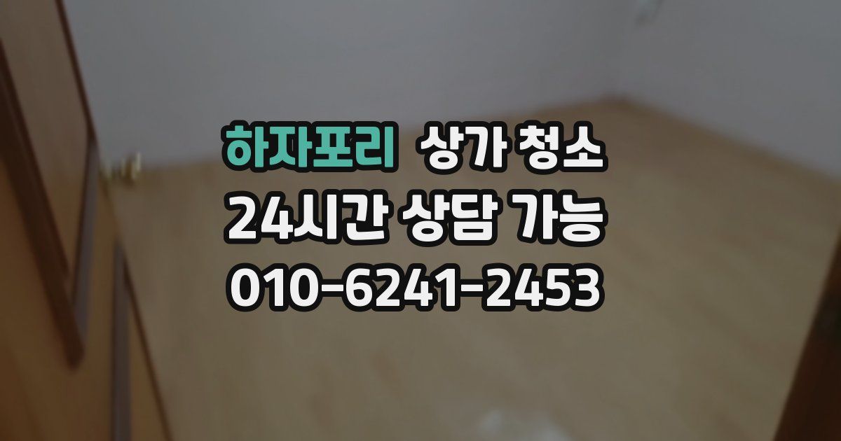 하자포리 상가 청소
