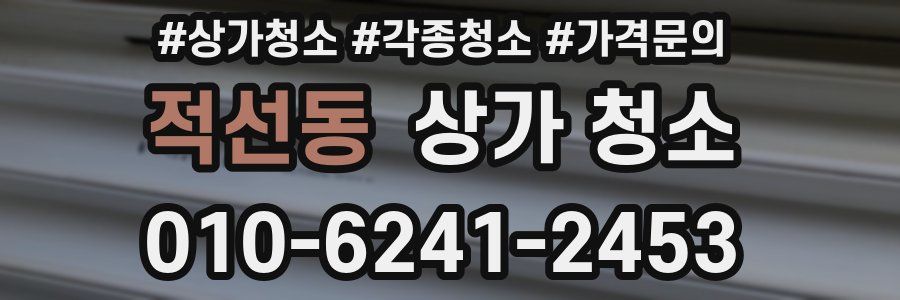 적선동 상가 청소