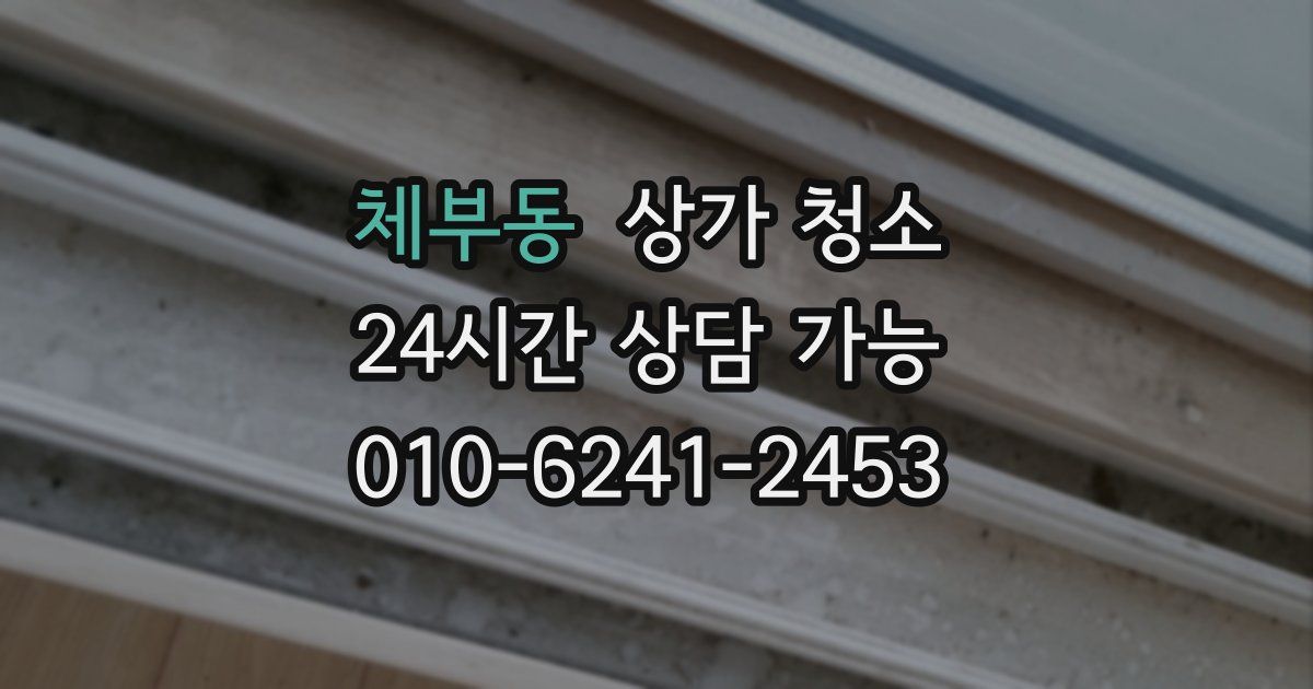 체부동 상가 청소
