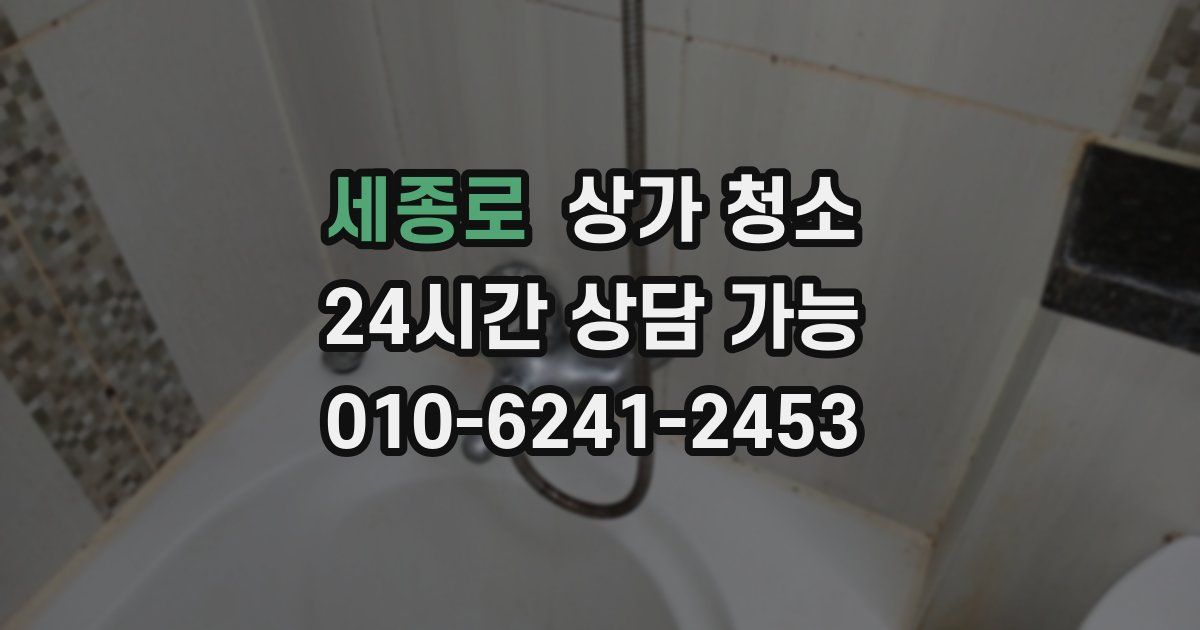 세종로 상가 청소