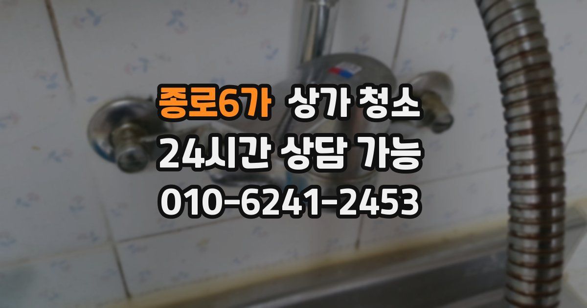 종로6가 상가 청소