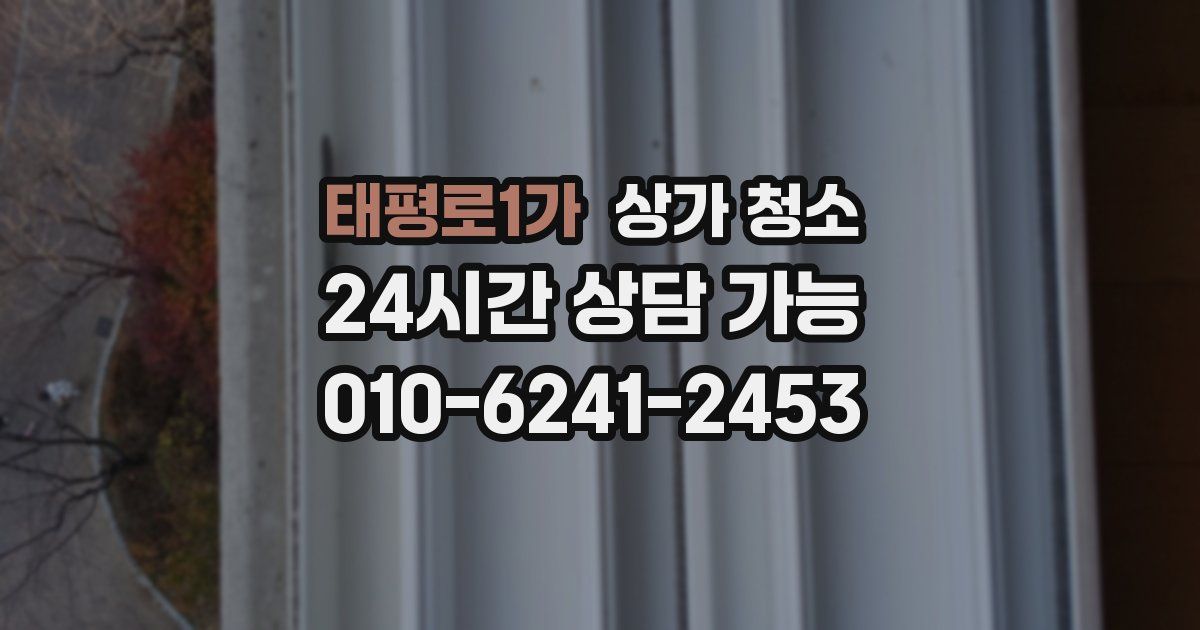 태평로1가 상가 청소
