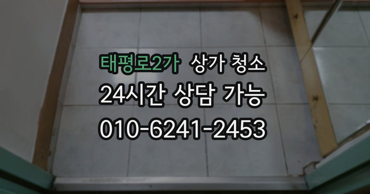 태평로2가 상가 청소
