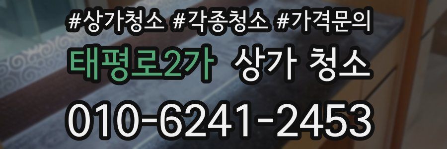 태평로2가 상가 청소