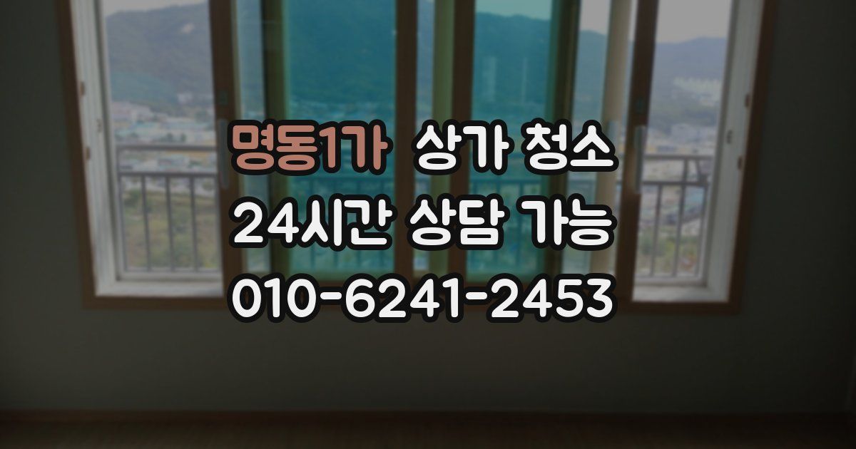 명동1가 상가 청소