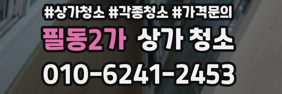 필동2가 상가 청소