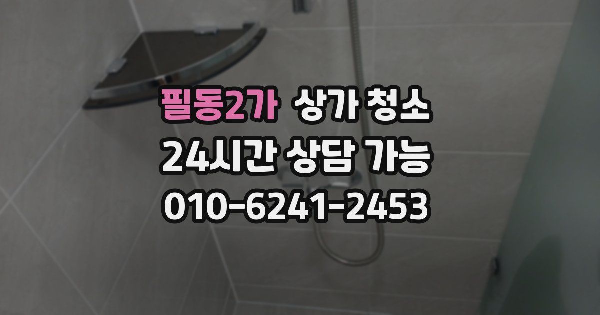 필동2가 상가 청소