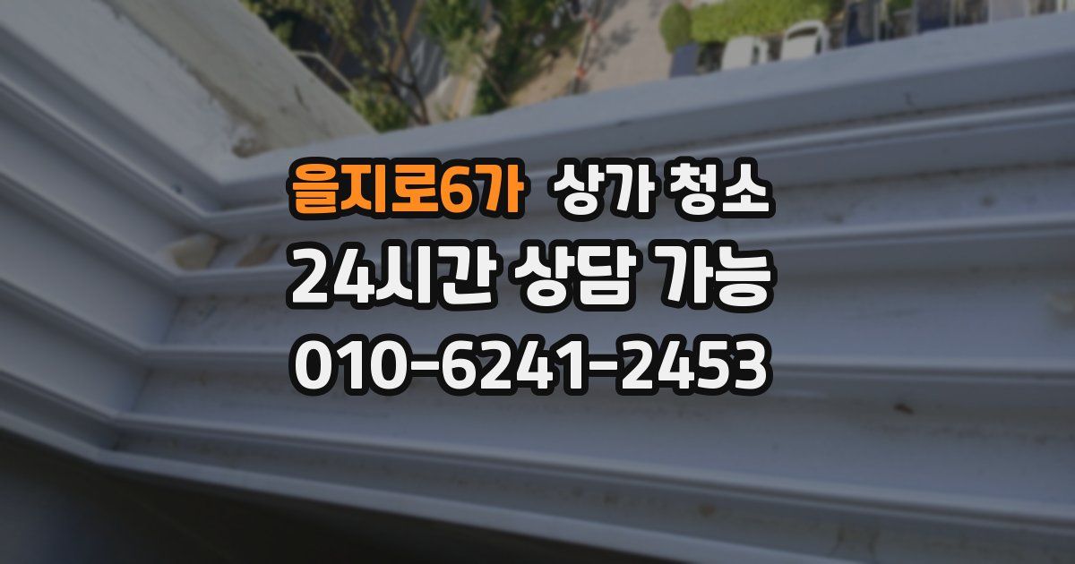 을지로6가 상가 청소