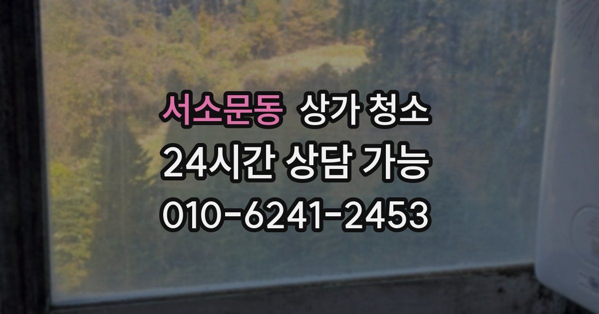 서소문동 상가 청소
