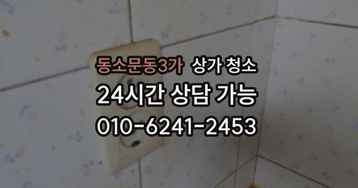 동소문동3가 상가 청소