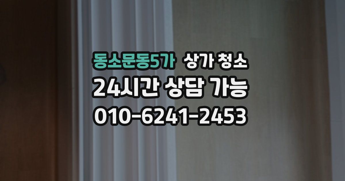동소문동5가 상가 청소