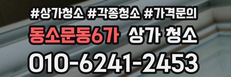 동소문동6가 상가 청소