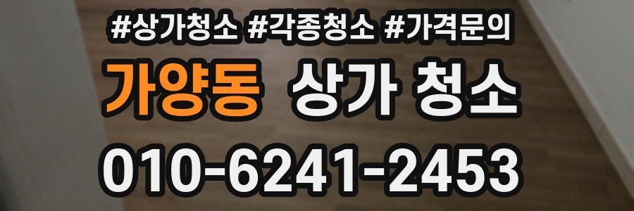 가양동 상가 청소