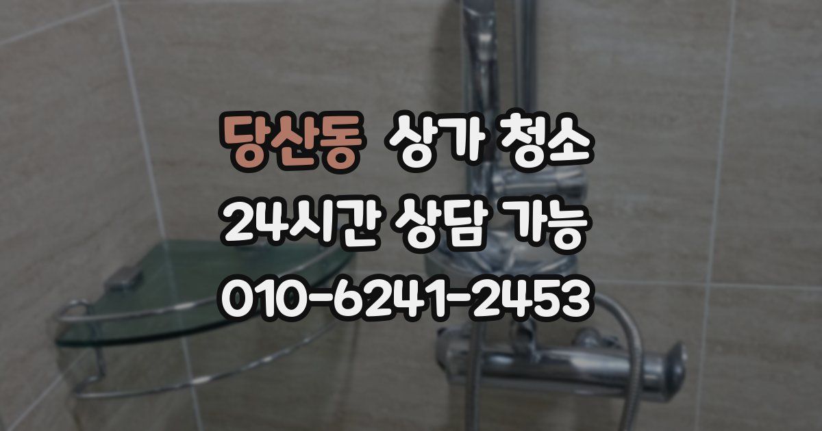 당산동 상가 청소