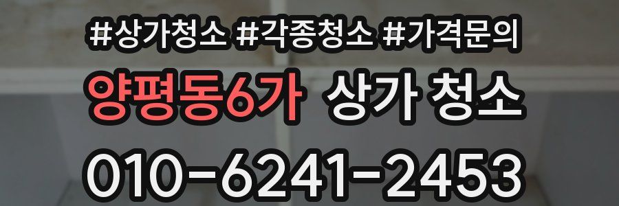 양평동6가 상가 청소