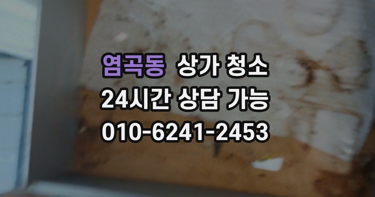 염곡동 상가 청소