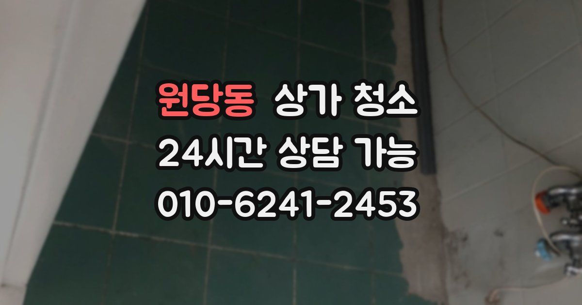 원당동 상가 청소