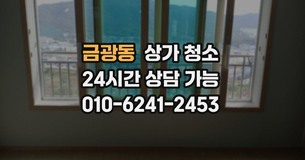 금광동 상가 청소
