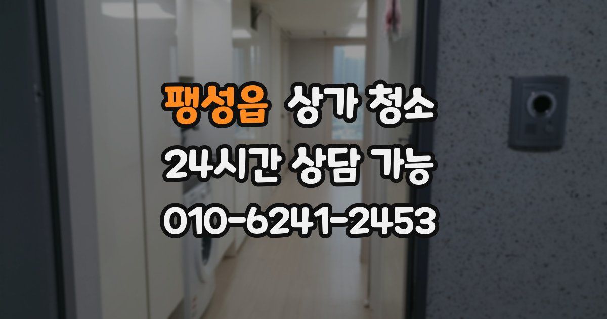 팽성읍 상가 청소