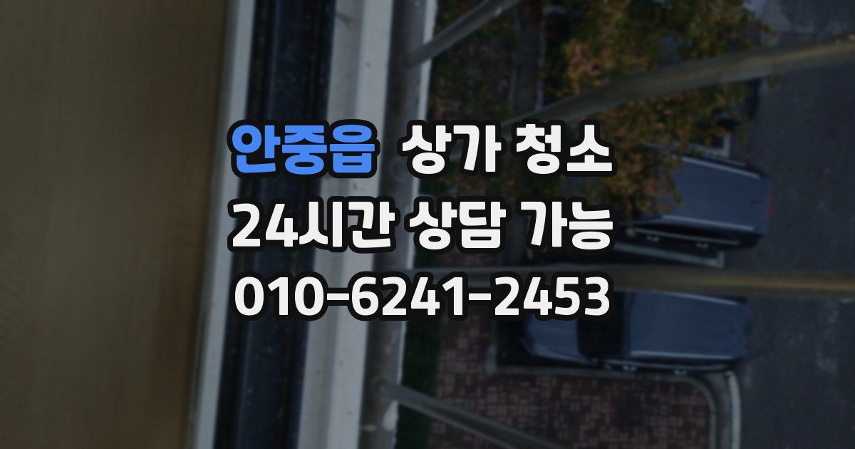 안중읍 상가 청소