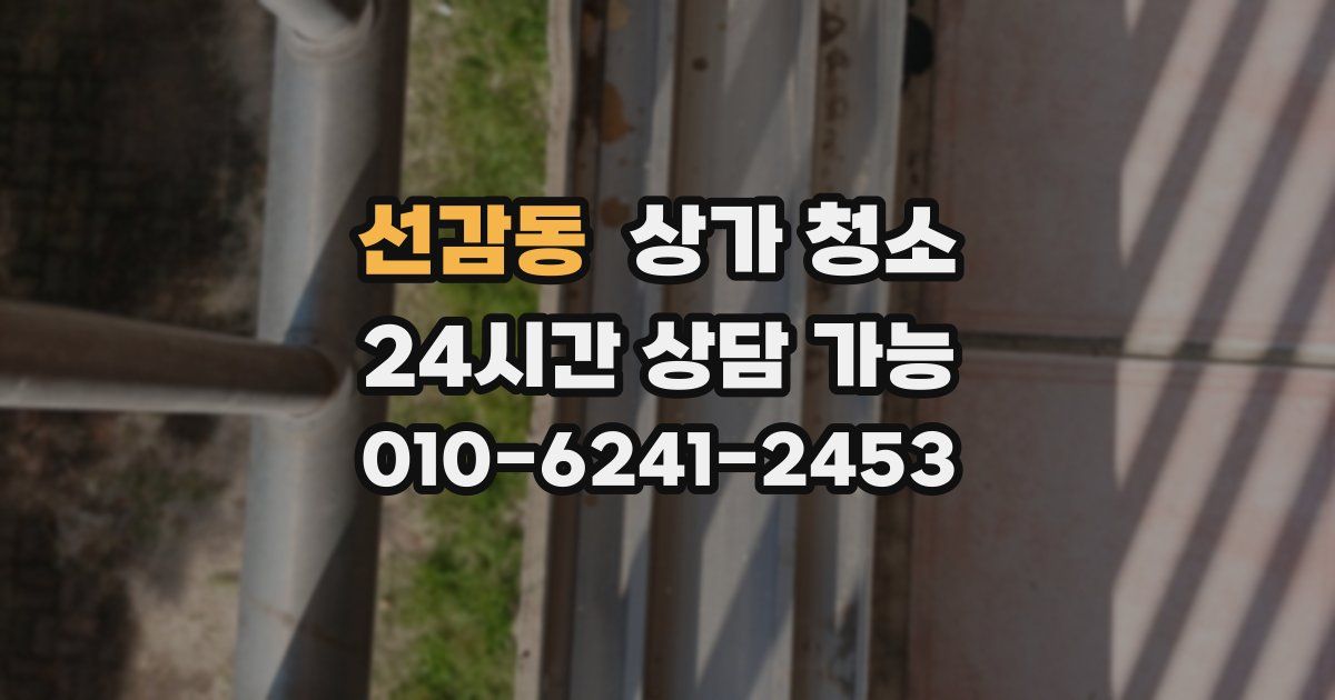 선감동 상가 청소