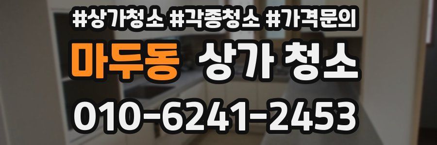 마두동 상가 청소