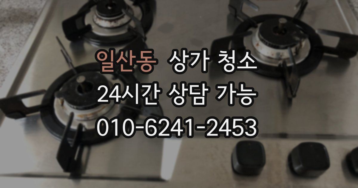 일산동 상가 청소