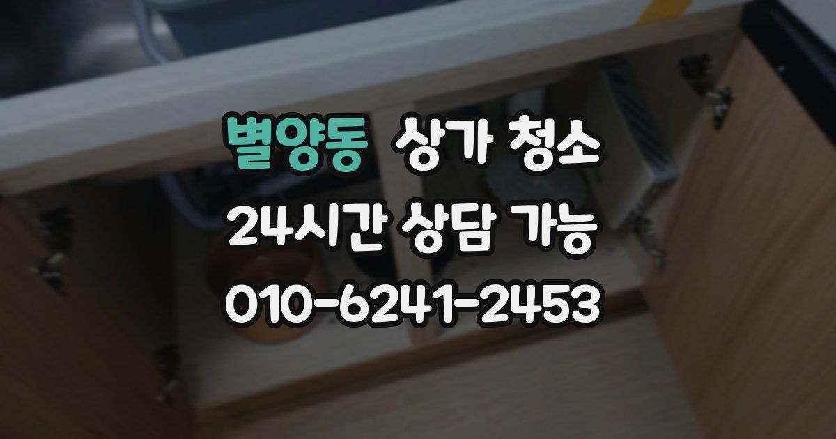 별양동 상가 청소
