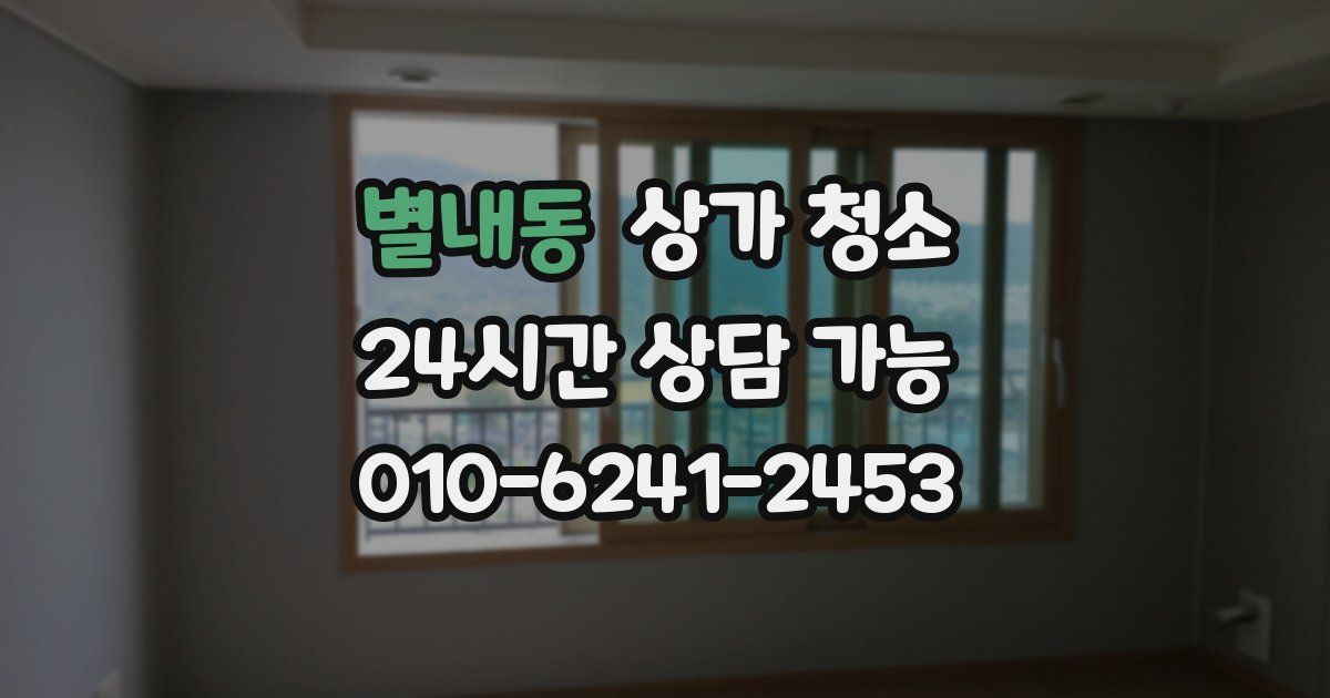 별내동 상가 청소