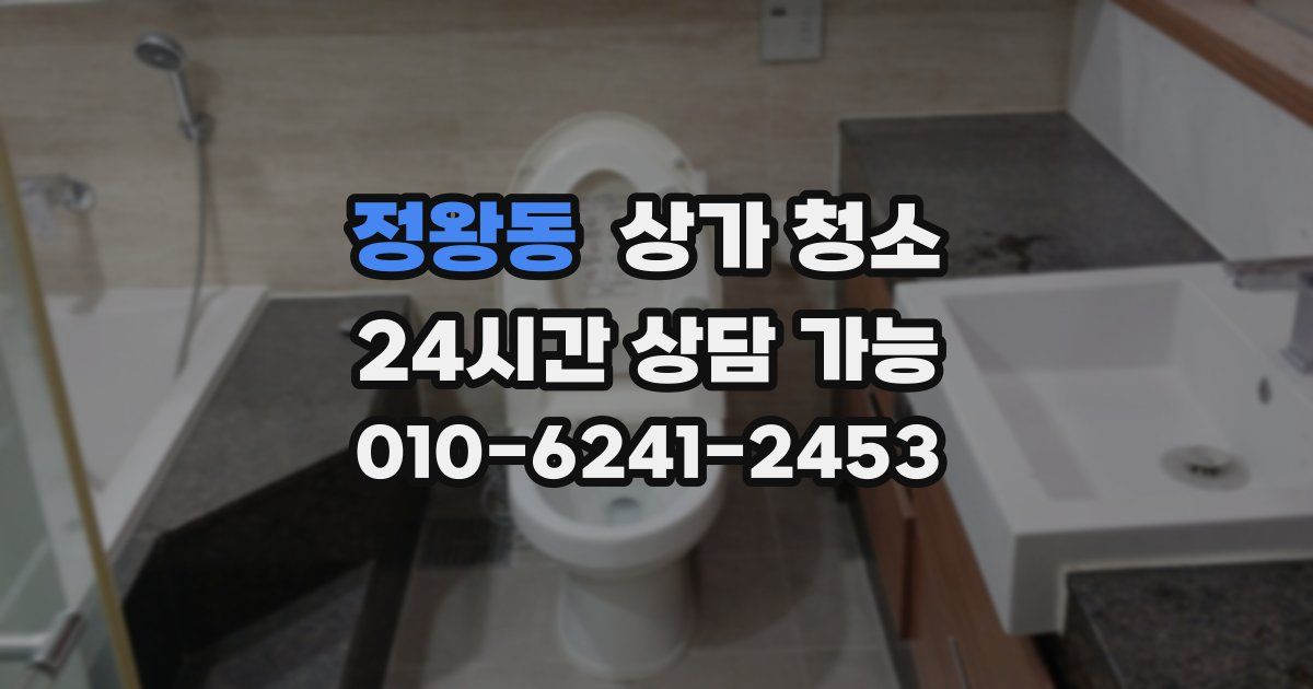 정왕동 상가 청소
