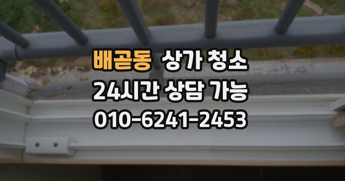 배곧동 상가 청소