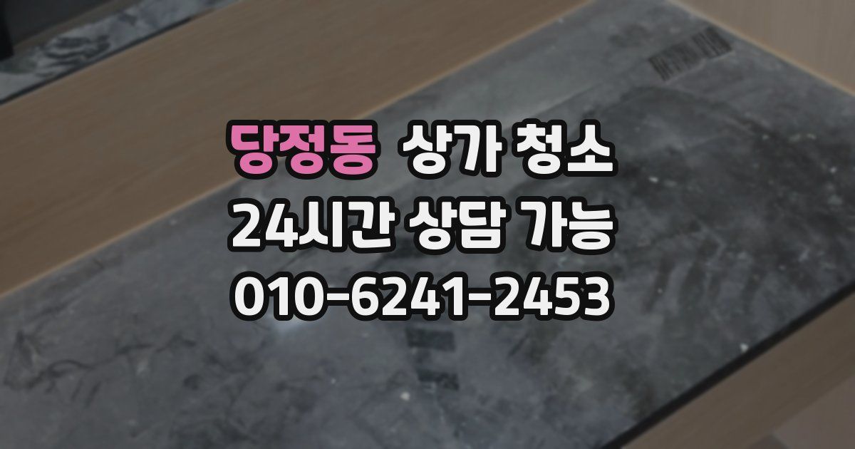 당정동 상가 청소