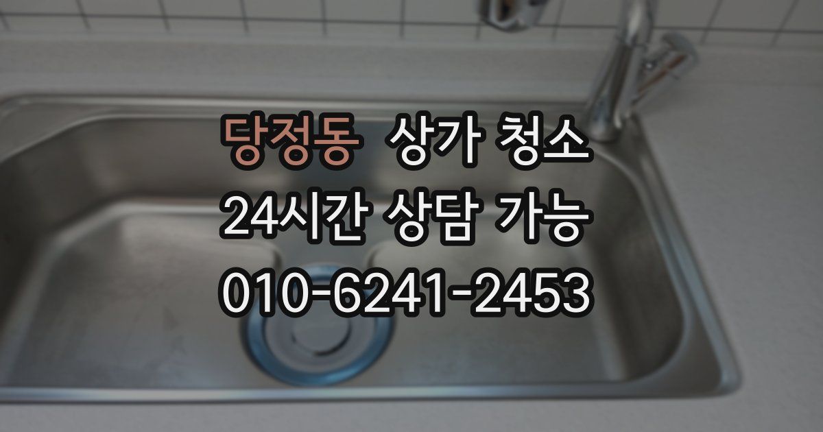 당정동 상가 청소