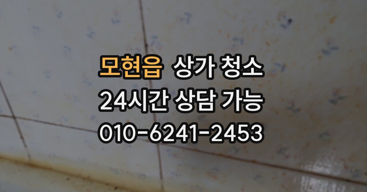 모현읍 상가 청소