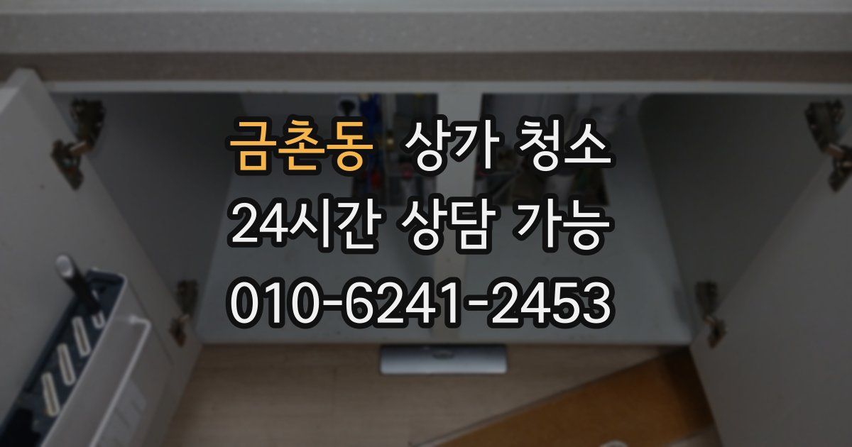 금촌동 상가 청소